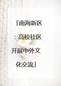 南海新区：高校社区开展中外文化交流